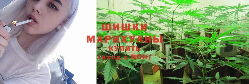 KRAKEN ссылка  Дубна  МАРИХУАНА Ganja 